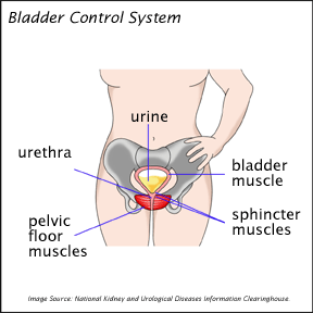 Device For Men Who Cannot Control Urine 59